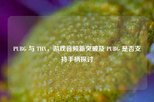 详细阅读:PUBG 与 THX,游戏音频新突破及 PUBG 是否支持手柄探讨 PUBG 与 THX,游戏音频新突破及 PUBG 是否支持手柄探讨