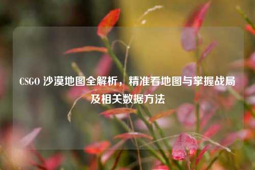 CSGO 沙漠地图全解析，精准看地图与掌握战局及相关数据方法