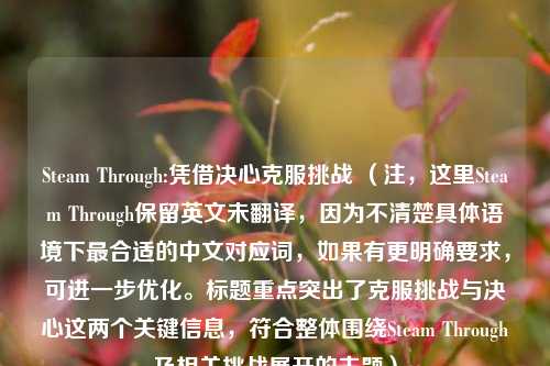 Steam Through:凭借决心克服挑战 （注，这里Steam Through保留英文未翻译，因为不清楚具体语境下最合适的中文对应词，如果有更明确要求，可进一步优化。标题重点突出了克服挑战与决心这两个关键信息，符合整体围绕Steam Through及相关挑战展开的主题）