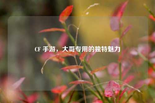CF 手游，大哥专用的独特魅力