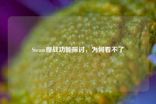 Steam观战功能探讨，为何看不了