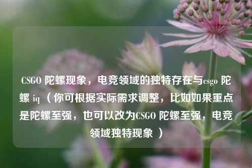 CSGO 陀螺现象，电竞领域的独特存在与csgo 陀螺 iq （你可根据实际需求调整，比如如果重点是陀螺至强，也可以改为CSGO 陀螺至强，电竞领域独特现象 ）