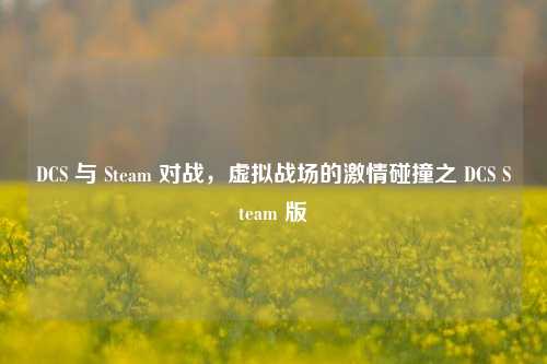 DCS 与 Steam 对战，虚拟战场的激情碰撞之 DCS Steam 版