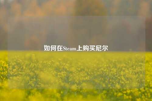 如何在Steam上购买尼尔