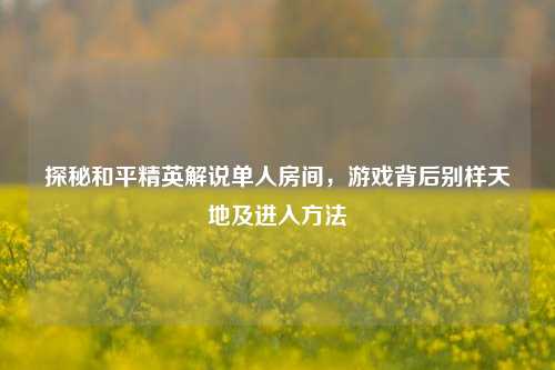 探秘和平精英解说单人房间，游戏背后别样天地及进入方法