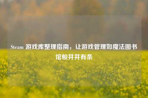 Steam 游戏库整理指南，让游戏管理如魔法图书馆般井井有条
