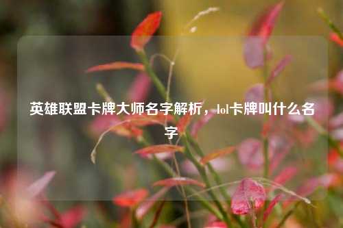 英雄联盟卡牌大师名字解析，lol卡牌叫什么名字