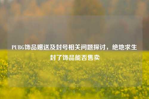 PUBG饰品赠送及封号相关问题探讨，绝地求生封了饰品能否售卖