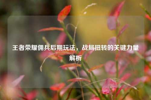 王者荣耀佣兵后期玩法，战局扭转的关键力量解析