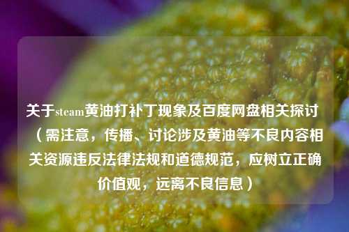 关于steam黄油打补丁现象及百度网盘相关探讨 （需注意，传播、讨论涉及黄油等不良内容相关资源违反法律法规和道德规范，应树立正确价值观，远离不良信息）
