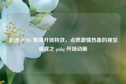 走进 PUBG 集锦开场特效，点燃激情热血的视觉盛宴之 pubg 开场动画