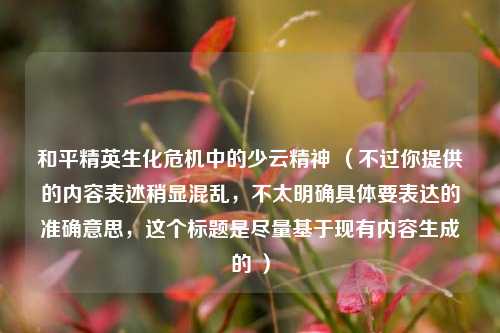 和平精英生化危机中的少云精神 （不过你提供的内容表述稍显混乱，不太明确具体要表达的准确意思，这个标题是尽量基于现有内容生成的 ）
