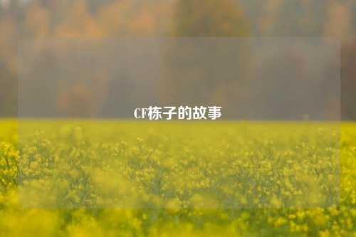 CF栋子的故事