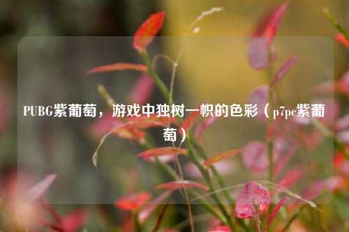 PUBG紫葡萄,游戏中独树一帜的色彩(p7pc紫葡萄)