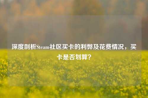 深度剖析Steam社区买卡的利弊及花费情况,买卡是否划算?