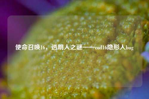 使命召唤16,透明人之谜——cod16隐形人bug
