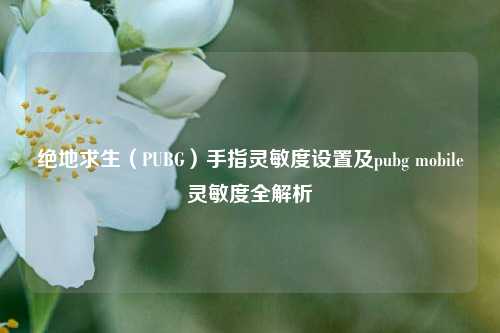 绝地求生(PUBG)手指灵敏度设置及pubg mobile灵敏度全解析