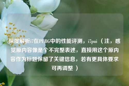 深度解析i7在PUBG中的性能评测,i7pui (注,感觉原内容像是个不完整表述,直接用这个原内容作为标题保留了关键信息,若有更具体要求可再调整 )