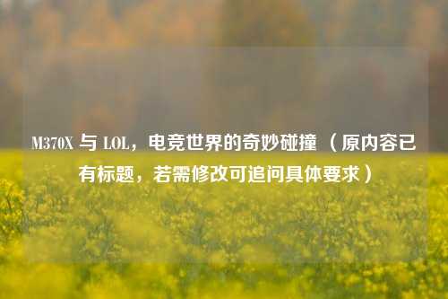 M370X 与 LOL,电竞世界的奇妙碰撞 (原内容已有标题,若需修改可追问具体要求)