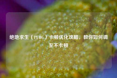绝地求生(PUBG)卡顿优化攻略,教你如何调至不卡顿