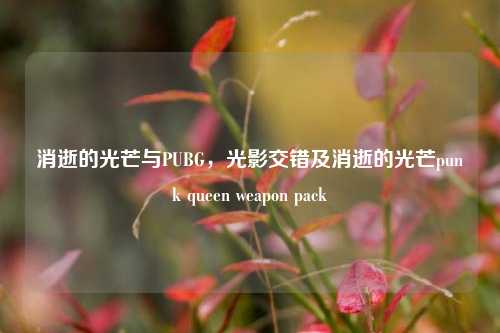 消逝的光芒与PUBG，光影交错及消逝的光芒punk queen weapon pack