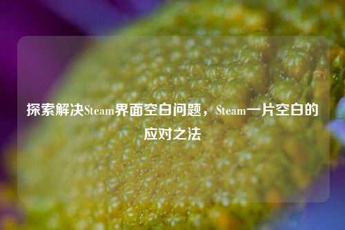 探索解决Steam界面空白问题,Steam一片空白的应对之法