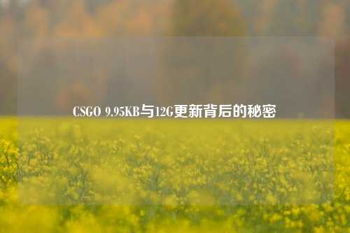 CSGO 9.95KB与12G更新背后的秘密
