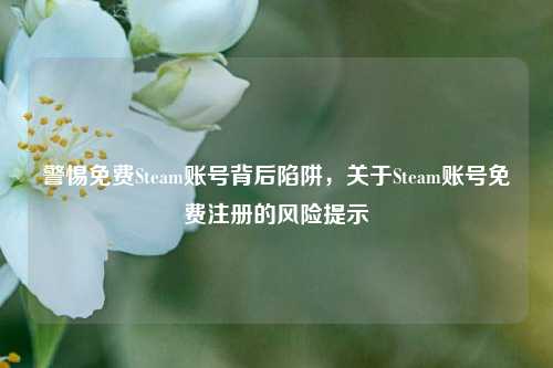 警惕免费Steam账号背后陷阱，关于Steam账号免费注册的风险提示
