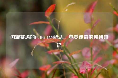 闪耀赛场的PUBG 4AM标志,电竞传奇的独特印记