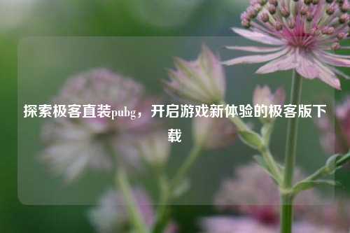 探索极客直装pubg,开启游戏新体验的极客版下载