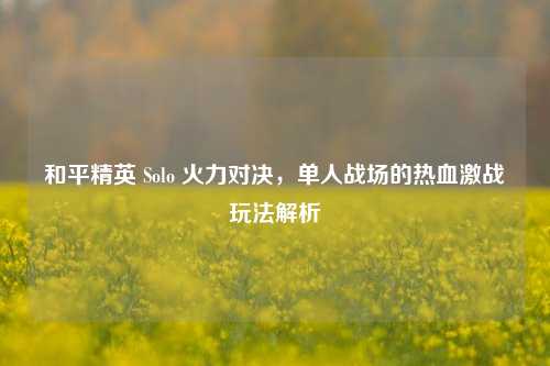 和平精英 Solo 火力对决,单人战场的热血激战玩法解析
