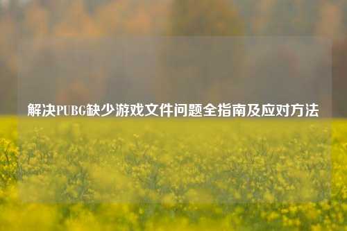 解决PUBG缺少游戏文件问题全指南及应对方法