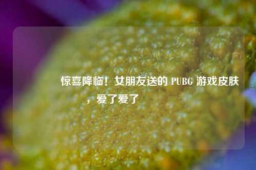 🎁惊喜降临！女朋友送的 PUBG 游戏皮肤，爱了爱了💕