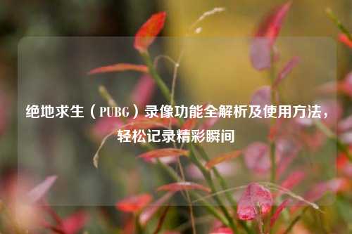 绝地求生（PUBG）录像功能全解析及使用方法，轻松记录精彩瞬间