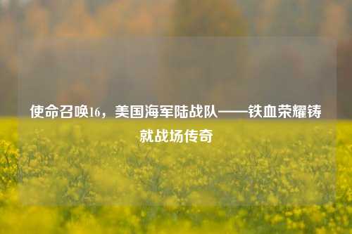使命召唤16，美国海军陆战队——铁血荣耀铸就战场传奇