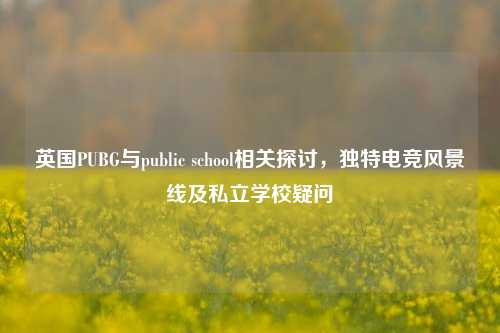 英国PUBG与public school相关探讨，独特电竞风景线及私立学校疑问