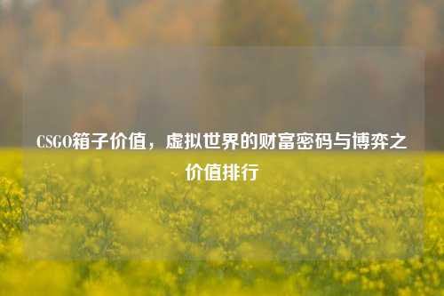 CSGO箱子价值，虚拟世界的财富密码与博弈之价值排行