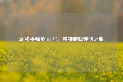 58 和平精英 85 号，独特游戏体验之旅