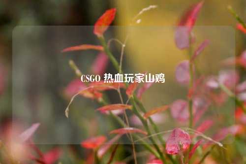 CSGO 热血玩家山鸡