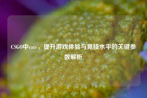 CSGO中rate，提升游戏体验与竞技水平的关键参数解析