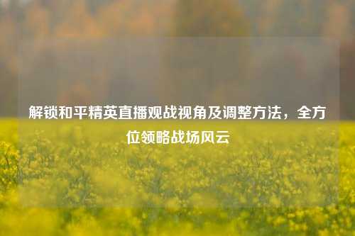 解锁和平精英直播观战视角及调整方法，全方位领略战场风云