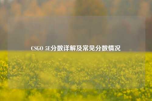 CSGO 5E分数详解及常见分数情况