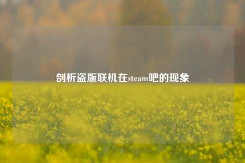 剖析盗版联机在steam吧的现象