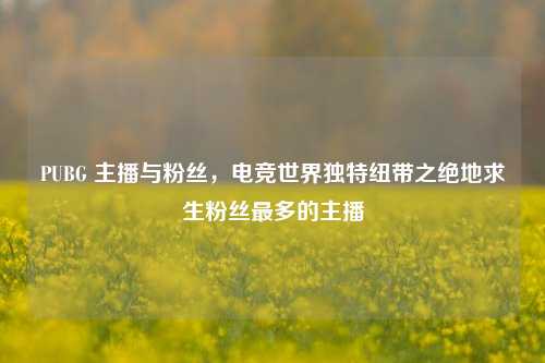 PUBG 主播与粉丝，电竞世界独特纽带之绝地求生粉丝最多的主播