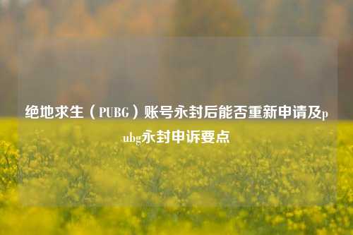 绝地求生（PUBG）账号永封后能否重新申请及pubg永封申诉要点