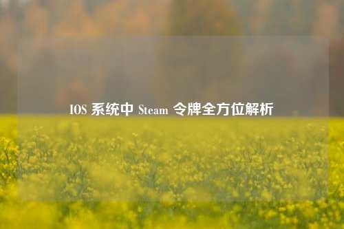 IOS 系统中 Steam 令牌全方位解析