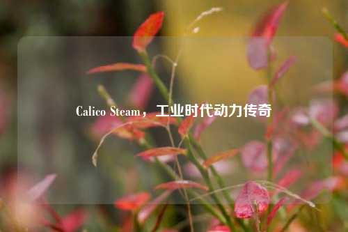 Calico Steam，工业时代动力传奇