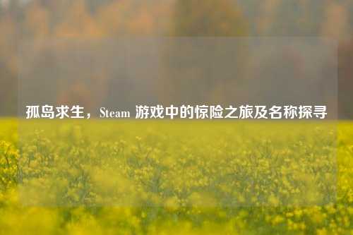 孤岛求生，Steam 游戏中的惊险之旅及名称探寻