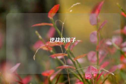 逆战的孩子