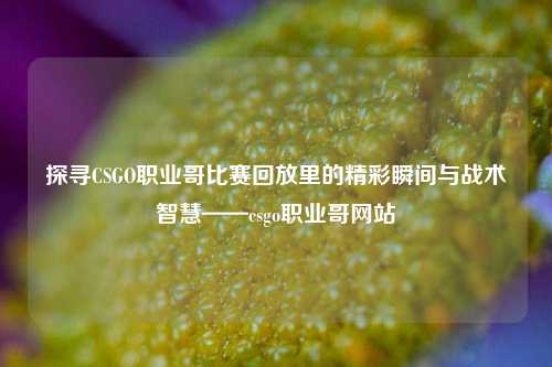 探寻CSGO职业哥比赛回放里的精彩瞬间与战术智慧——csgo职业哥网站